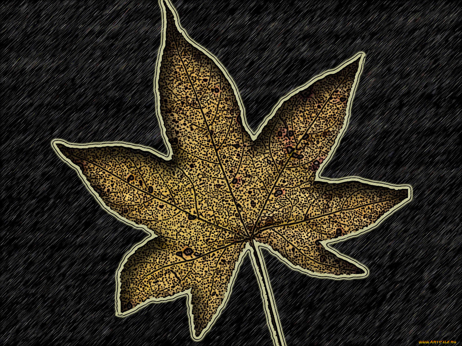 3, , textures, , , 